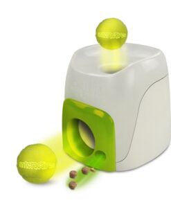Interactive Fetch 'N Treat