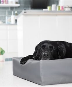 Bed Kunstleer Hoes Hondenmand Grijs Bia-3 70X60X15 Cm