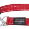 For Dogs Fanbelt Halfslip Halsband Rood 20 Mmx34-56 Cm