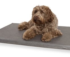 Bed Matras Ligbed Grijs 118X73X5 Cm