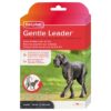 Gentle Leader Zwart Large