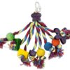 Pet Speelgoed Papegaai Carnival Assorti 22X11X11 Cm