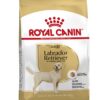 Canin Labrador Retriever Adult 12 Kg