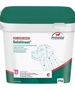Gelatinaat Hond 2 Kg