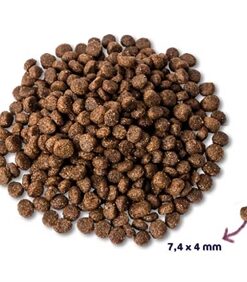 Super Premium Puppy Kip / Lam 2 Kg