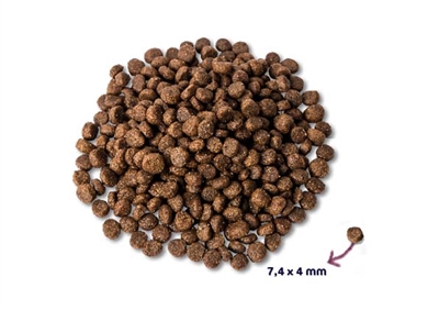 Super Premium Puppy Kip / Lam 2 Kg