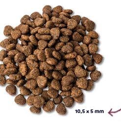 Super Premium Adult Kip Graanvrij Hypoallergeen 2 Kg