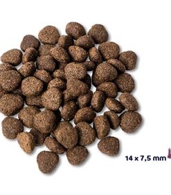 Super Premium Adult Zalm Graanvrij Hypoallergeen 2 Kg