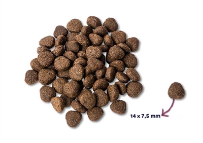 Super Premium Adult Zalm Graanvrij Hypoallergeen 2 Kg