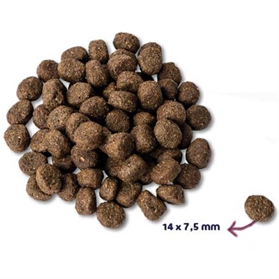Super Premium Senior Kalkoen Graanvrij Hypoallergeen 2 Kg