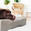 Bed Kunstleer Hoes Hondenmand Taupe Bia-2 60X50X12,5 Cm