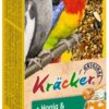 Valkparkiet Kracker Honing 2 In 1