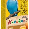 Parkiet Kracker Ei 2 In 1