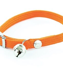 Halsband Kat Elastisch Nylon Oranje 30X1 Cm