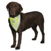 Reflecterende Bandana Geel S-M 29-42 Cm 2 St