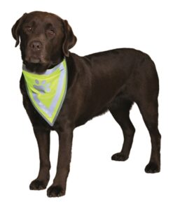 Reflecterende Bandana Geel S-M 29-42 Cm 2 St