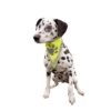 Reflecterende Bandana Geel L-Xl 43-60 Cm 2St