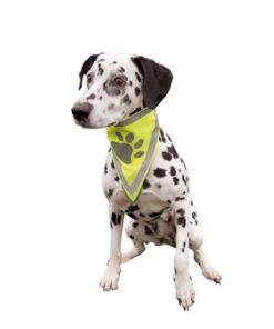 Reflecterende Bandana Geel L-Xl 43-60 Cm 2St