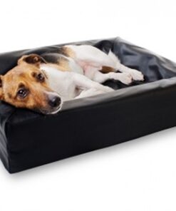 Bed Hondenmand Orthopedisch Zwart Bia-3 70X60X15 Cm