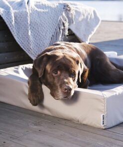 Bed Hondenmand Outdoor Taupe Bia-7 120X100X15 Cm