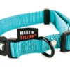 Halsband Verstelbaar Nylon Turquoise 45-65X2,5 Cm