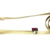Hondenriem Nylon Beige 120X1 Cm