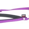 Hondenriem Nylon Paars 120X1 Cm