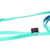 Hondenriem Nylon Turquoise 120X1 Cm