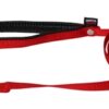 Hondenriem Nylon Rood 120X1,6 Cm