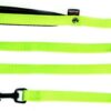 Hondenriem Nylon Groen 120X1,6 Cm