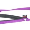 Hondenriem Nylon Paars 120X1,6 Cm