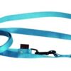 Hondenriem Multipurpose Nylon Turquoise 200X2 Cm