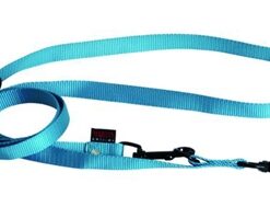 Hondenriem Multipurpose Nylon Turquoise 200X2 Cm