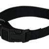 Halsband Basic Nylon Zwart 45-65X2,5 Cm