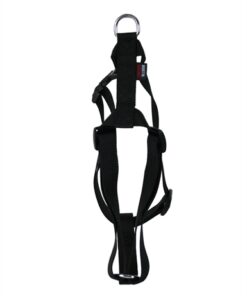 Hondentuig Basic Nylon Zwart 25-35X1 Cm