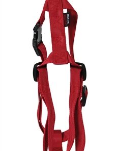 Hondentuig Basic Nylon Rood 35-50X1,6 Cm