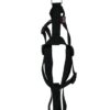 Hondentuig Basic Nylon Zwart 35-50X1,6 Cm