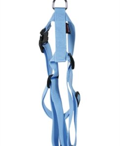 Hondentuig Basic Nylon Blauw 35-50X1,6 Cm