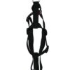 Hondentuig Basic Nylon Zwart 70-90X2,5 Cm