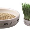 Kattengraszaad 50Gr In Keramiek 15X15X4 Cm