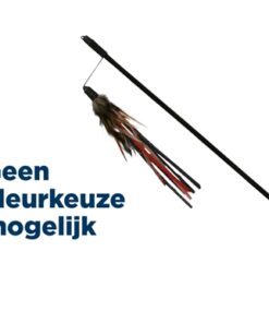 Kattenhengel Leer Met Veer Assorti 50 Cm