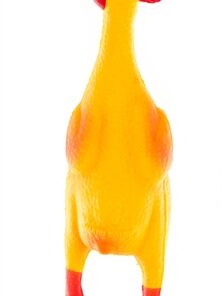 Latex Kip 22 Cm