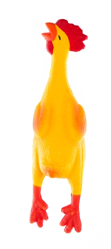 Latex Kip 22 Cm
