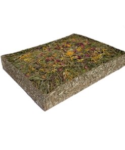 Naturals Weiland 30X24X4 Cm