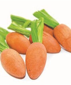 Pet Carrot Nibblers Knaaghout 8X3X3 Cm 6 St