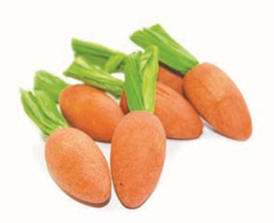 Pet Carrot Nibblers Knaaghout 8X3X3 Cm 6 St
