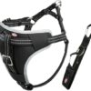 Hondentuig Auto Dog Protect Zwart 40-55X2 Cm