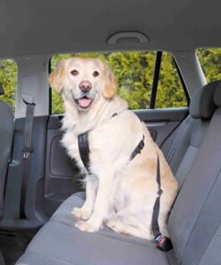 Hondentuig Auto Inclusief Gordel Zwart 70-90 Cm