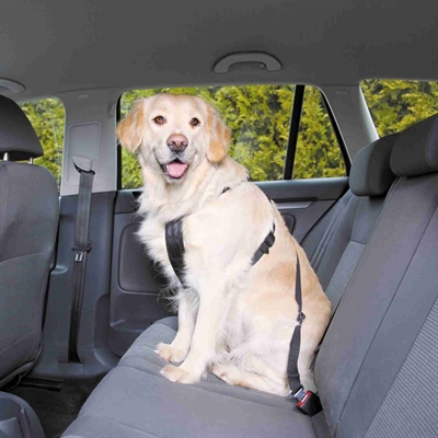 Hondentuig Auto Inclusief Gordel Zwart 70-90 Cm