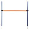 Dog Activity Agility Horde Blauw / Oranje 123X115X3 Cm